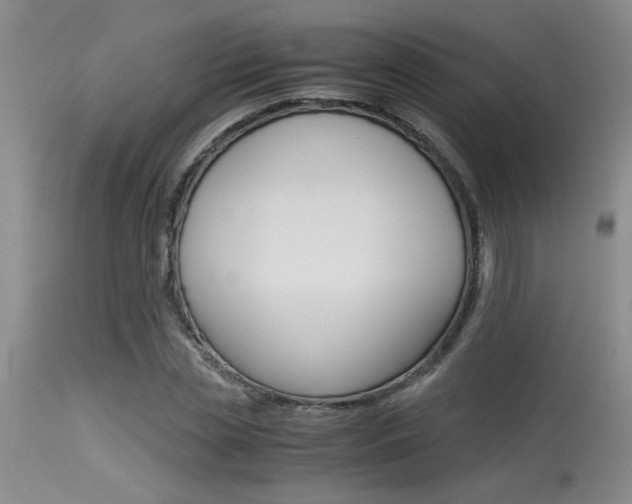 X0000115540829200911061148