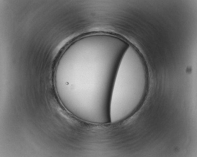X0000115540830200911061148