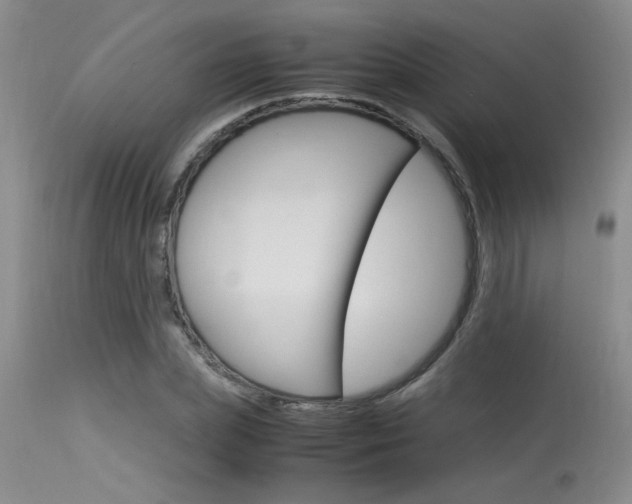 X0000115540831200911061148