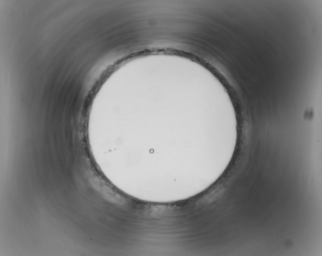 X0000115540832200911061148