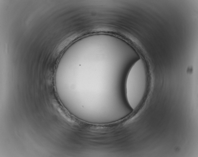 X0000115540833200911061148