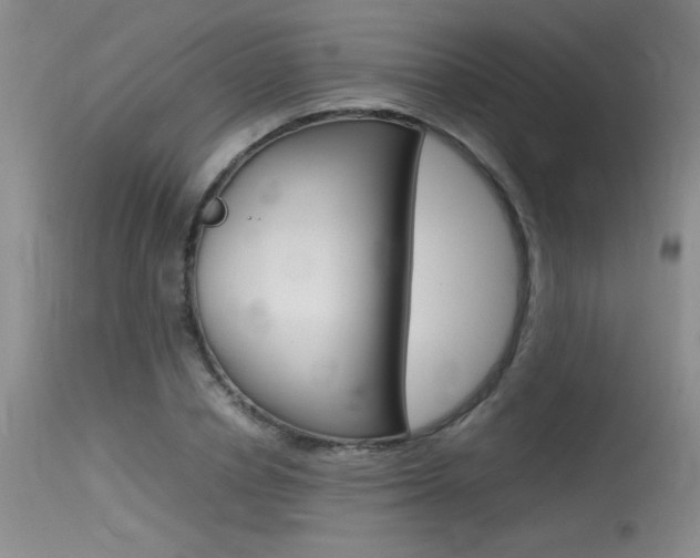 X0000115540834200911061148