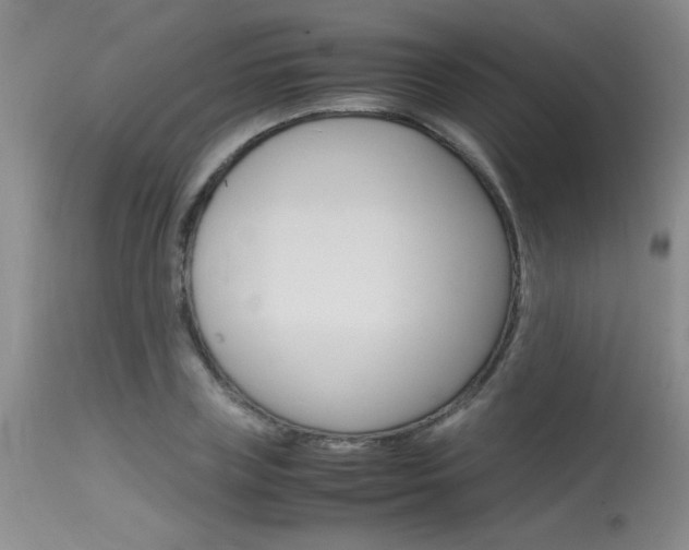 X0000115540835200911061148