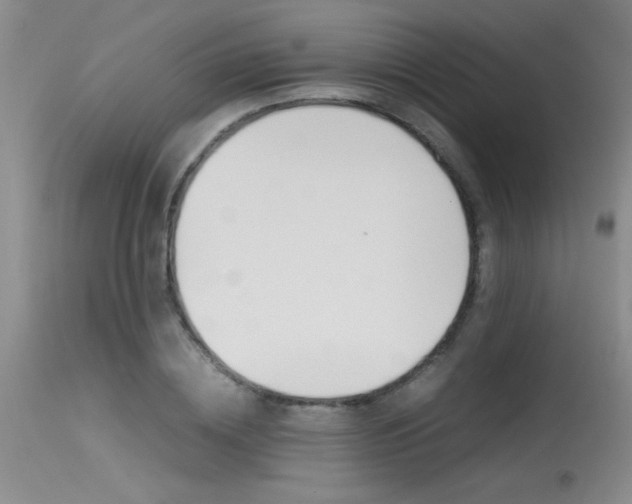 X0000115540836200911061148