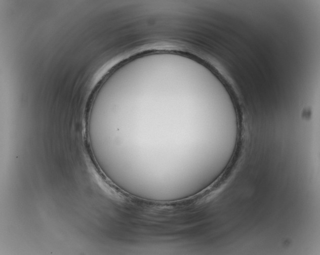 X0000115540837200911061148