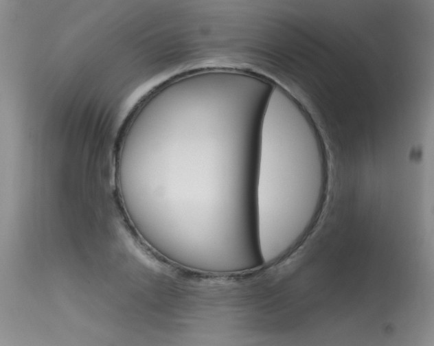 X0000115540838200911061148