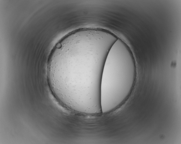 X0000115540839200911061148