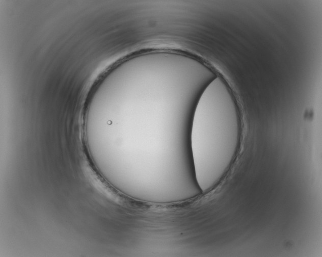 X0000115540840200911061148