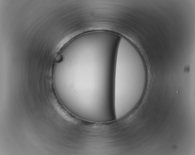 X0000115540842200911061148