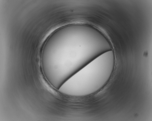 X0000115540843200911061148