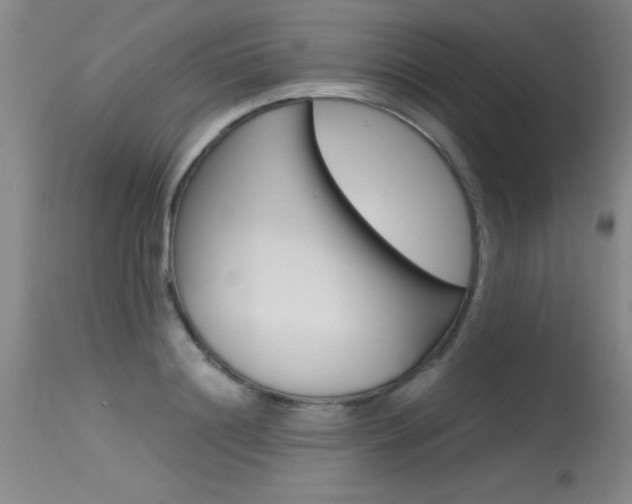 X0000115540844200911061148