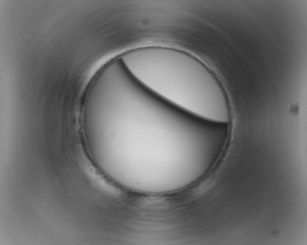 X0000115540846200911061148