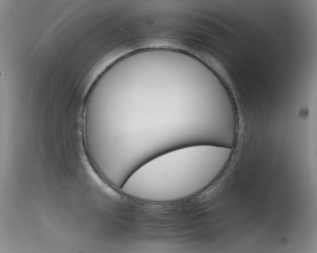 X0000115540847200911061148