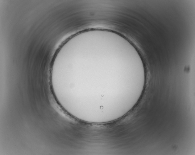 X0000115540848200911061148