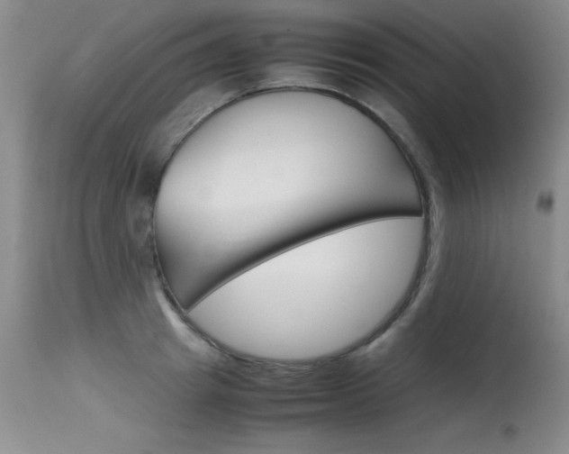 X0000115540849200911061148