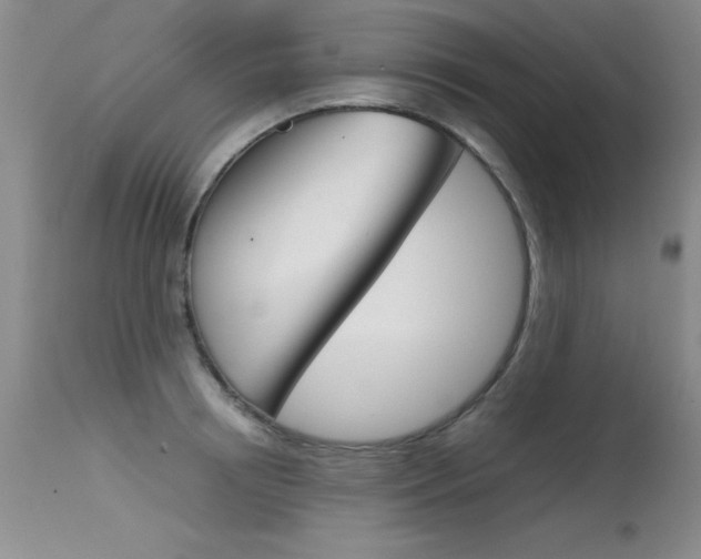 X0000115540850200911061148