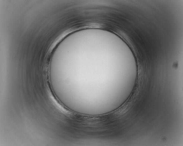 X0000115540851200911061148