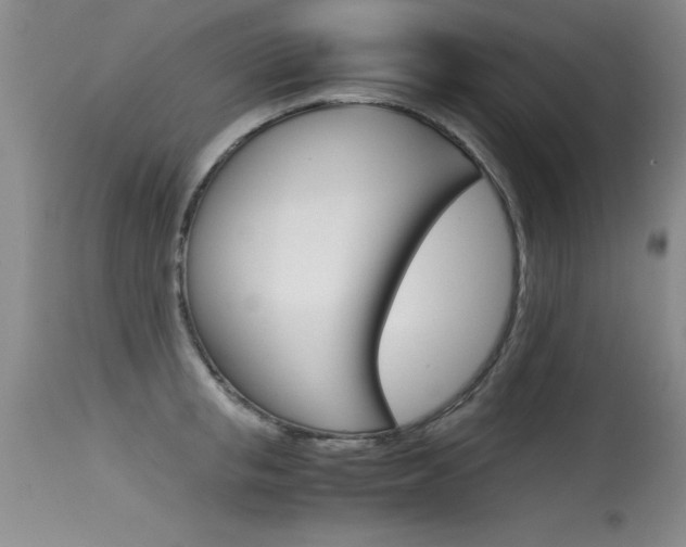 X0000115540853200911061148