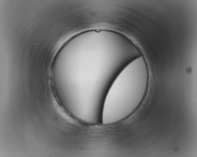 X0000115540854200911061148