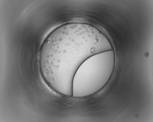 X0000115540855200911061148