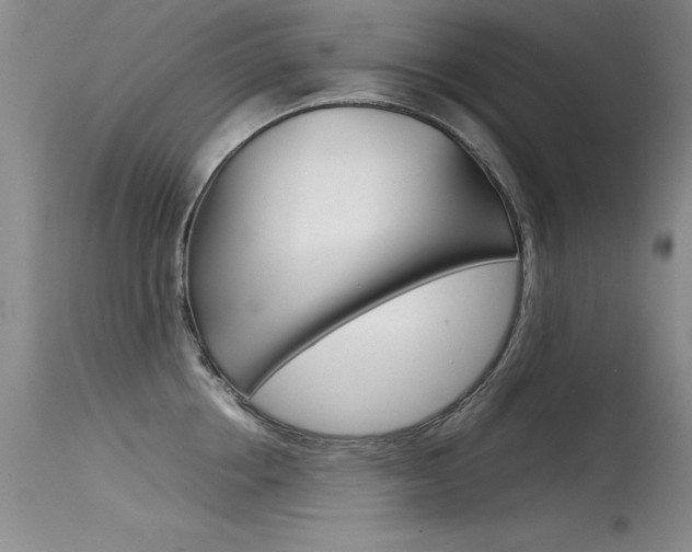 X0000115540858200911061148