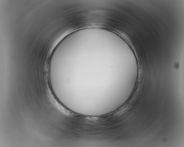 X0000115540859200911061148