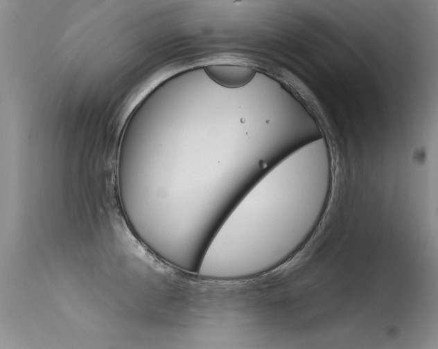 X0000115540860200911061149