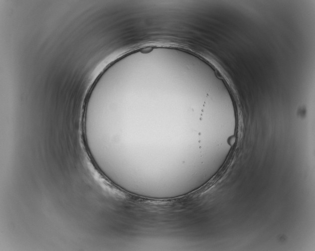 X0000115540861200911061149