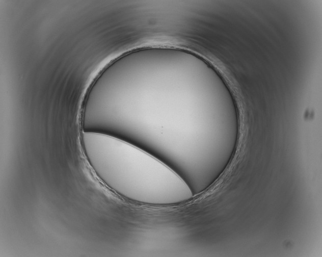 X0000115540864200911061149