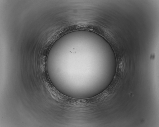 X0000115540868200911061148