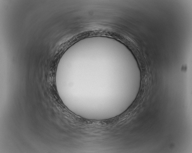 X0000115540869200911061148