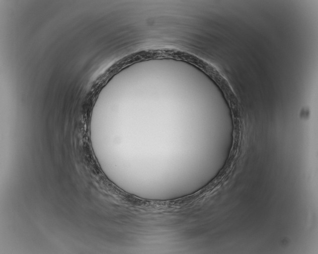 X0000115540871200911061148