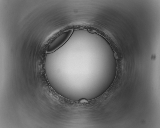 X0000115540872200911061148