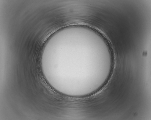 X0000115540873200911061148