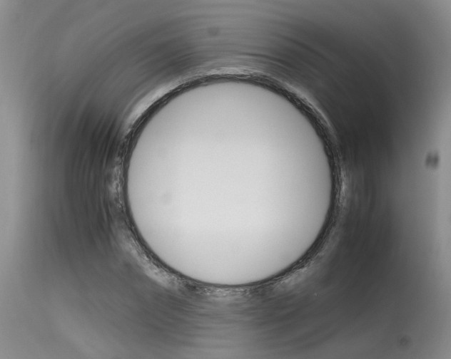 X0000115540874200911061148