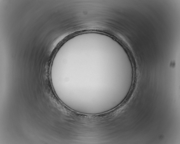 X0000115540875200911061148