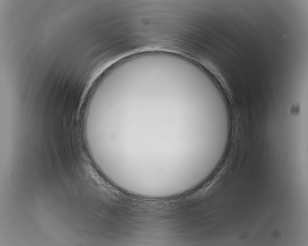 X0000115540876200911061148