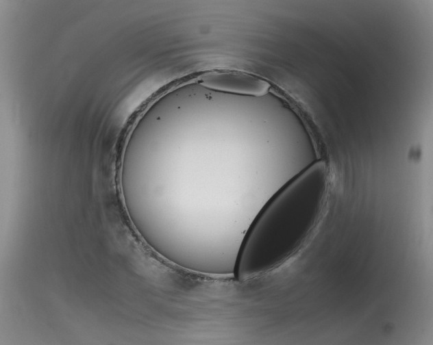 X0000115540877200911061148