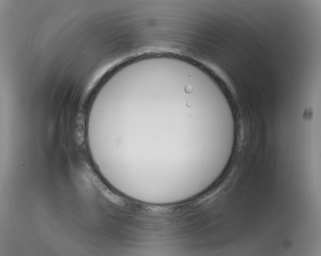 X0000115540878200911061148