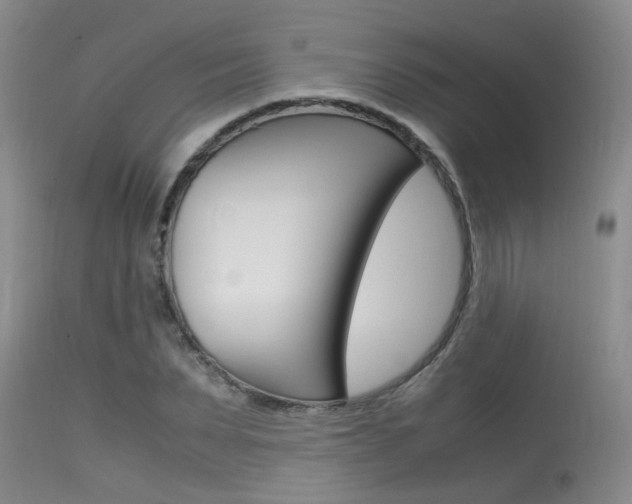 X0000115540879200911061148