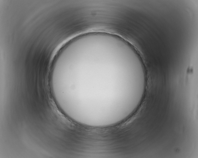 X0000115540880200911061148