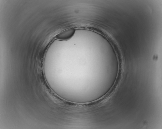 X0000115540881200911061148