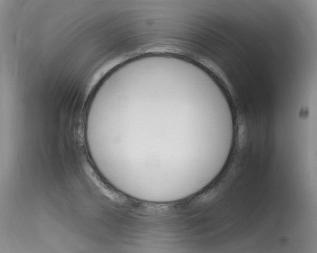 X0000115540882200911061148
