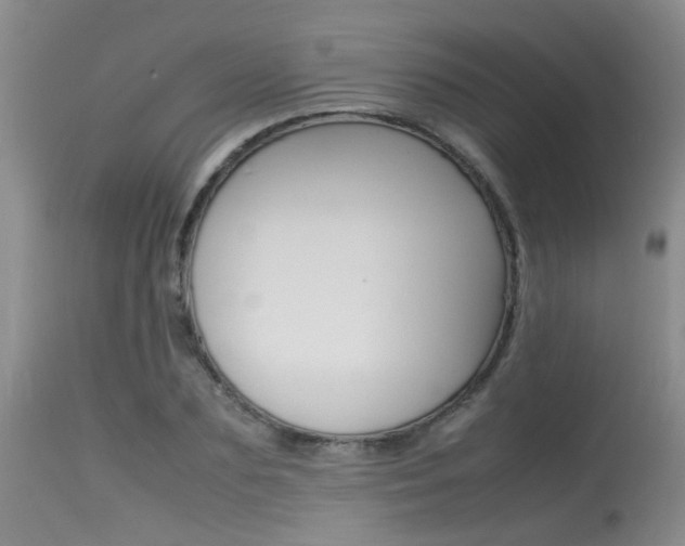 X0000115540883200911061148
