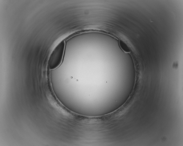 X0000115540884200911061148
