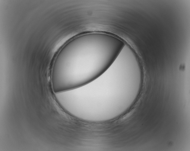 X0000115540885200911061148