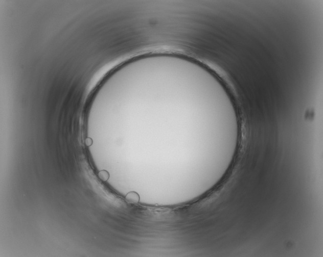 X0000115540886200911061148