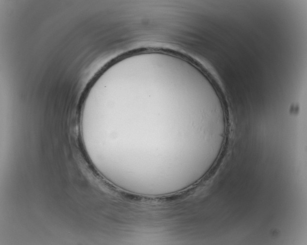 X0000115540887200911061148