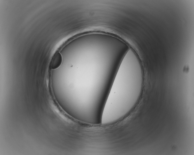 X0000115540888200911061148
