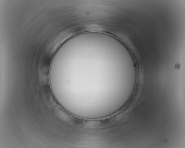 X0000115540889200911061148